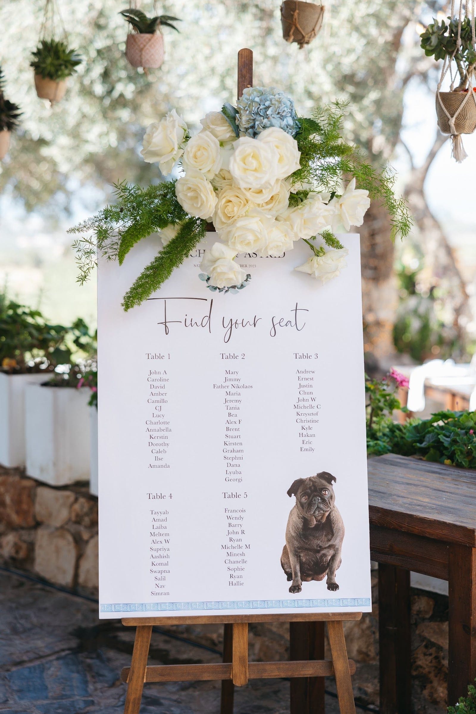 A white wooden easel holds a seating plan titled "Find your seat," with five tables of guest names listed in grey script. A cluster of white garden roses, a pale blue hydrangea and feathery asparagus fern is arranged across its top, and a small pug illustration sits in the lower corner. Behind it hang potted plants and olive trees in soft daylight at AgrecoFarms in Adele, Crete, Greece, a wedding flower display for Andria and Alan's celebration.