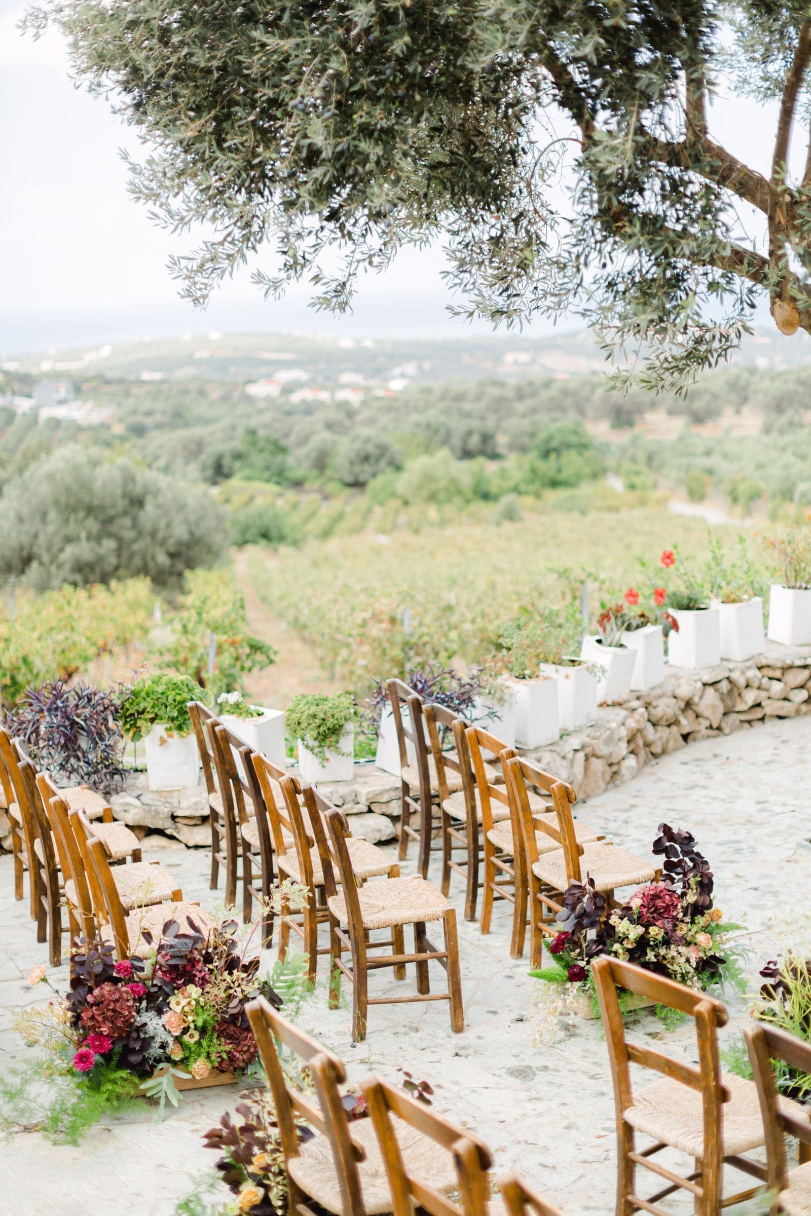 Rows of rush-seated wooden chairs line a pale stone terrace beneath a spreading olive tree, leading the eye toward a hillside of vineyards and olive groves that falls away to the sea. At the aisle's edge sit low floral arrangements of deep burgundy hydrangeas, dusky plum foliage, pink dahlias and soft peach blooms, with white-painted planters of greenery and small red flowers along the stone wall. This is a wedding ceremony setup in Crete, Greece, at AgrecoFarms in Adele, bathed in soft, even daylight.