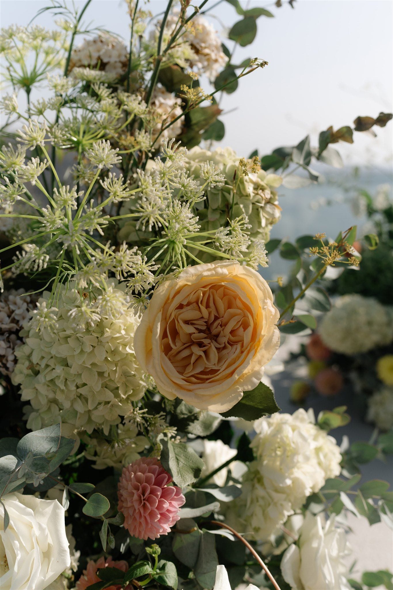 A close-up of a wedding floral installation at Aenaon Villas in Santorini, Greece, dominated by a large apricot-peach garden rose at its centre. Around it sit creamy white hydrangea heads, delicate white umbellifer blooms with lacy green stems, a dusty pink dahlia, and white roses, all softened with silvery eucalyptus leaves. The soft, hazy light and blurred sea and sky behind suggest a bright, airy seaside ceremony.