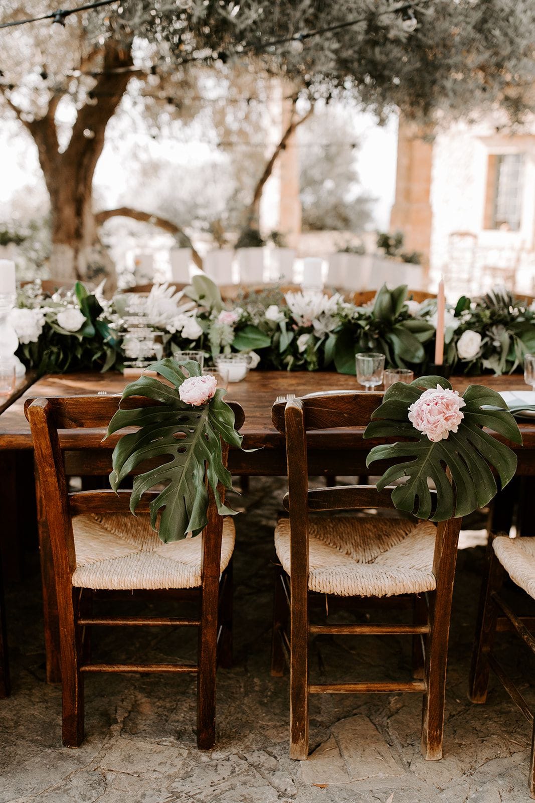 Two rustic wooden chairs at a long farm table are dressed with large monstera leaves, each pinned with a soft pink peony, while a garland of white blooms and greenery runs down the table beneath an olive tree canopy. This wedding table flower styling is set outdoors in Greece, with pale stone buildings and tall candles softly blurred in the background.