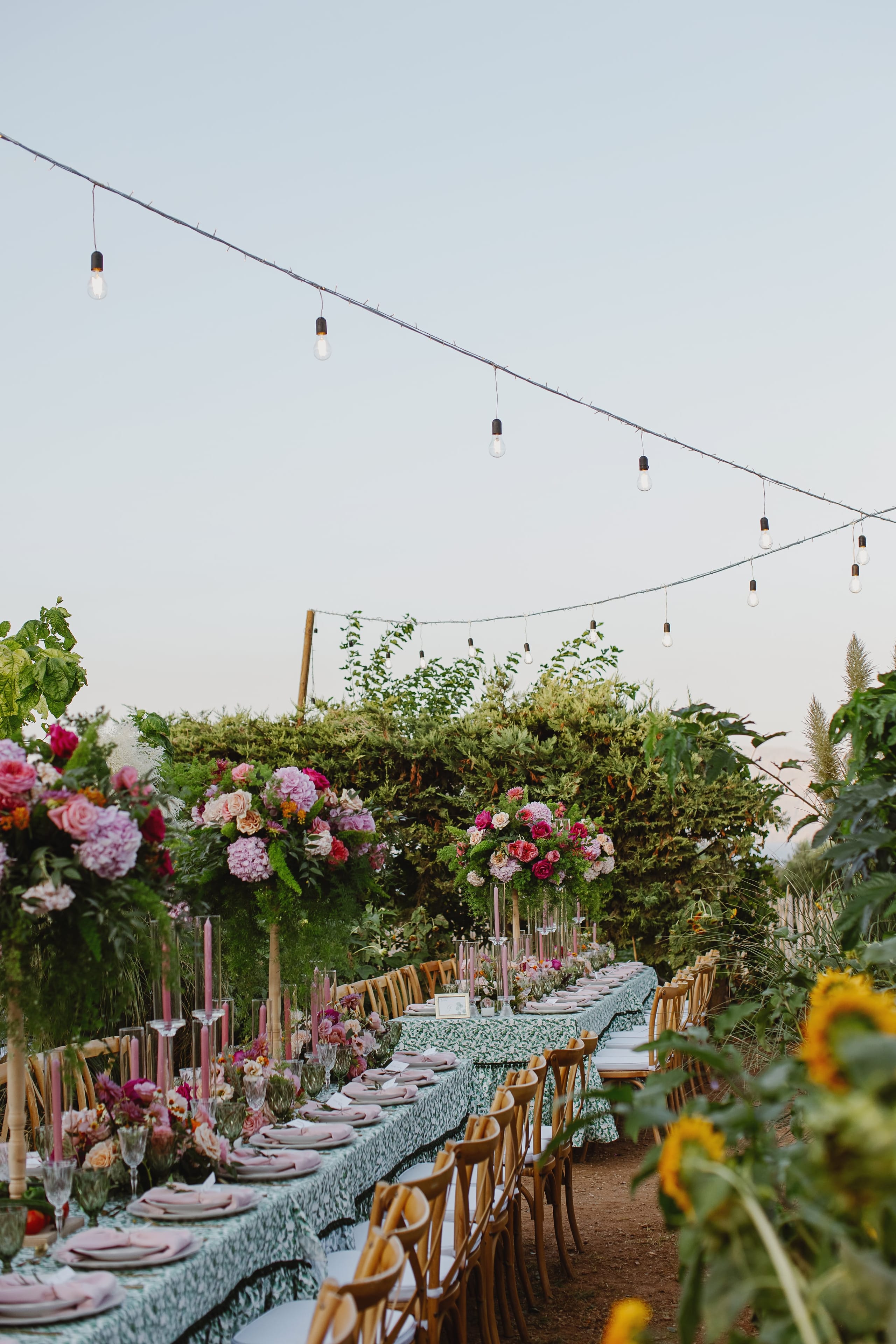 Two long garden tables run into the distance under strings of bare bulbs, dressed in a green and white printed cloth with pink napkins and pale plates. Tall floral centrepieces of pink hydrangeas, garden roses, and deep magenta blooms rise above them on slender stems, flanked by pink taper candles in glass hurricane holders. Wooden cross-back chairs line the sides, with sunflowers and leafy greenery framing the foreground in warm early-evening light. This is a wedding table setting in a garden in Greece.