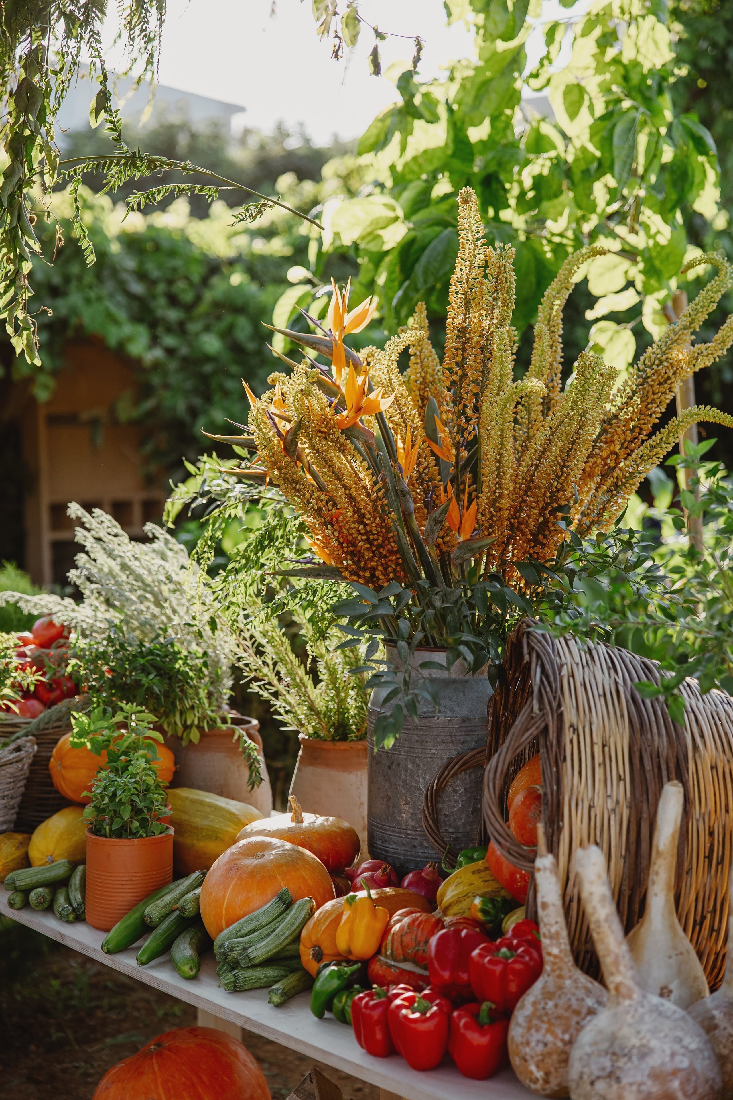 A tall arrangement in a weathered galvanised metal vase, filled with golden-bronze spikes of eremurus-style flower stems curving outward, with bright orange bird of paradise blooms tucked among them and glossy dark green foliage at the base. Beside it sit a woven wicker chair, potted herbs, and a basket of red tomatoes in a sunlit garden, a floral display for a wedding or event in Greece.