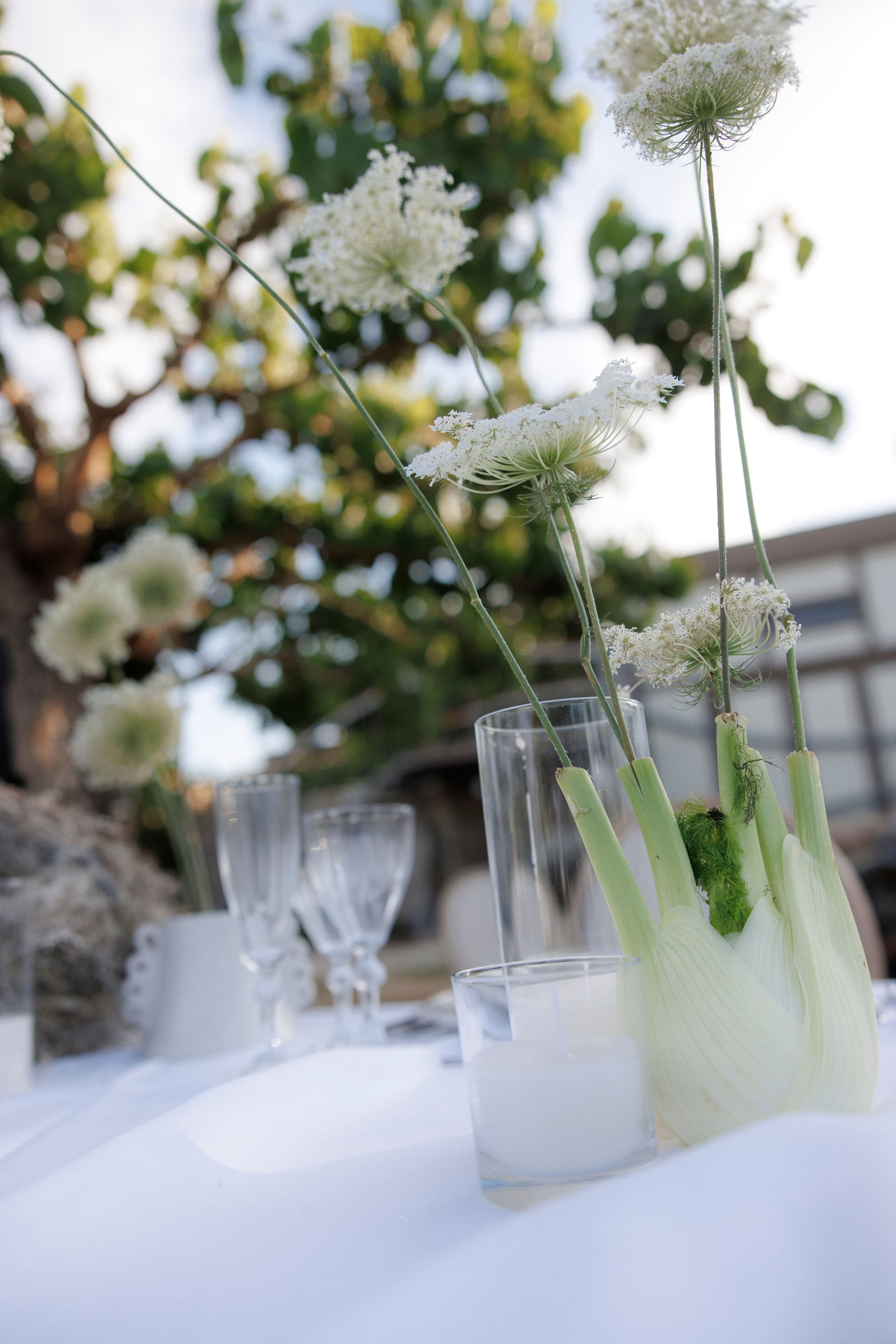 A wedding table centrepiece in Crete, Greece, at Gramboussa Restaurant in Kaliviani, set on a white tablecloth. Tall, slender stems of white Queen Anne's lace rise from a bulb of fennel with its feathery fronds, placed beside a clear glass candle and tall glasses, with a soft blurred tree and white building behind in warm natural light.