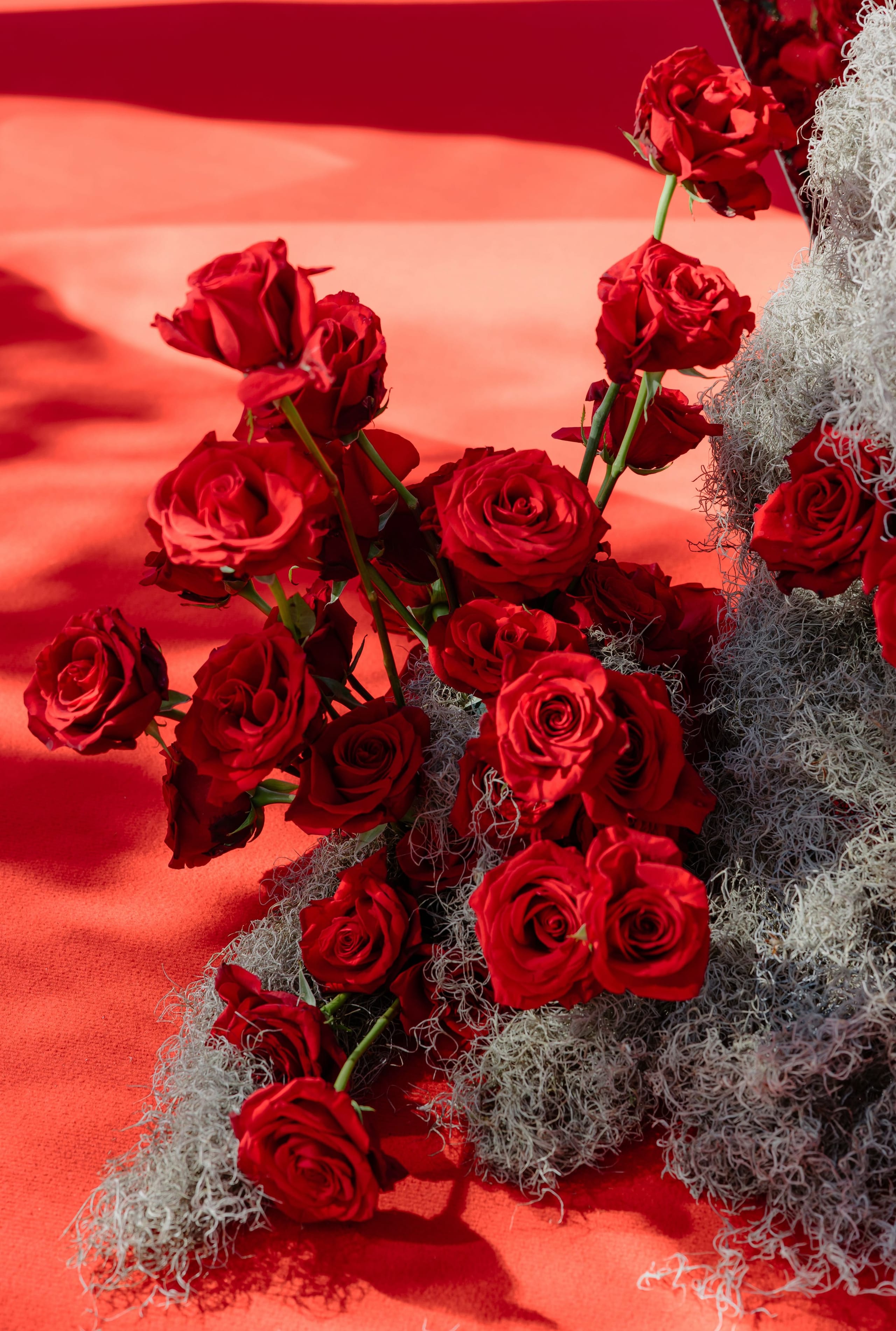 Deep red garden roses spill diagonally across a bright red fabric backdrop, their stems fanning out and their petals catching soft shadows in the strong light. Long, pale grey-green Spanish moss trails through the arrangement and drapes down the right edge, giving the scene a loose, airy texture. This is a wedding floral installation for Silia and Louis at a venue in Rethimno, Crete, Greece.