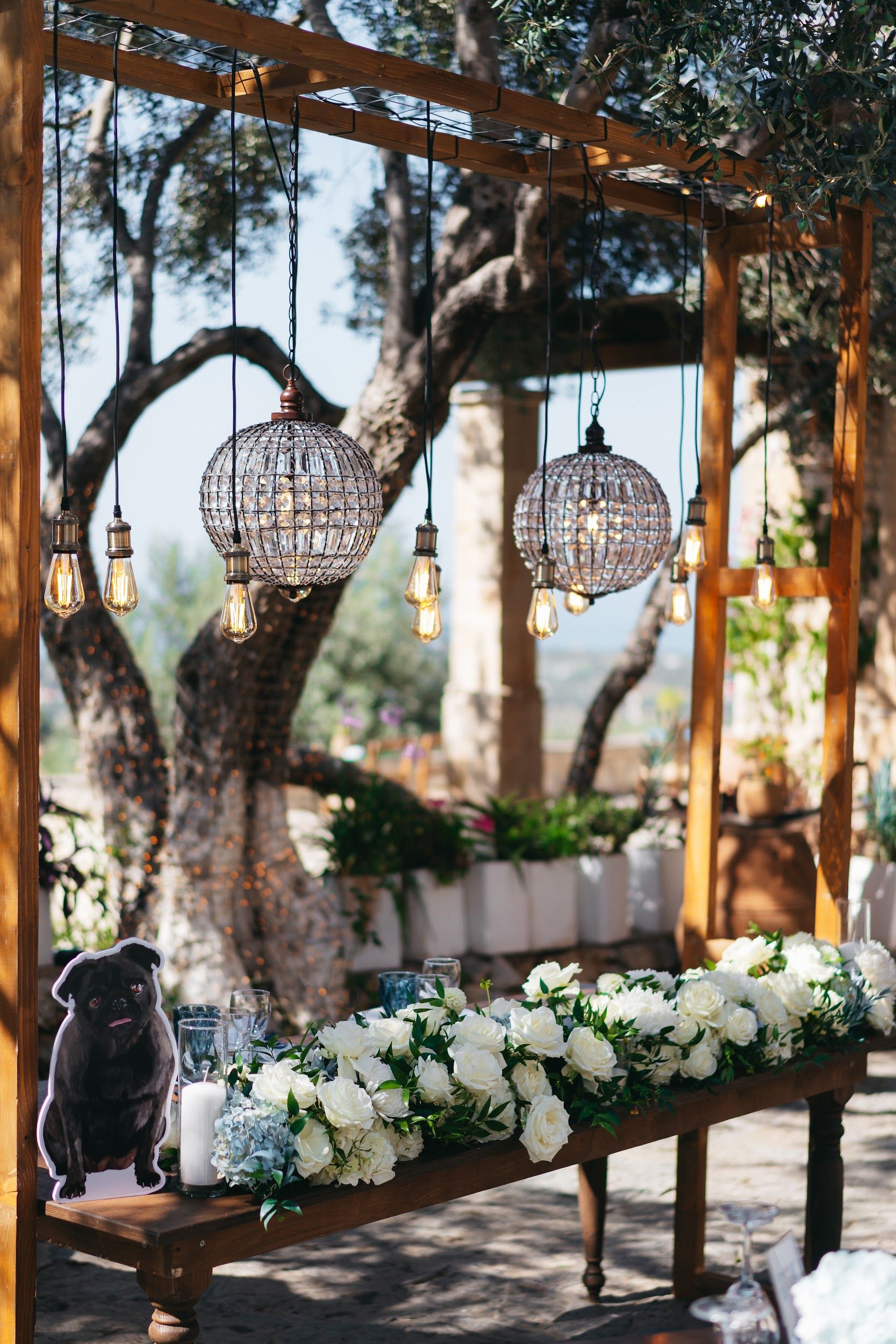 A long wedding table dressed with white garden roses and trailing green foliage sits beneath a wooden pergola, with two spherical crystal chandeliers and bare Edison bulbs hanging above it. Behind, an old olive tree wrapped in fairy lights frames a sunlit terrace with white planters, and a cutout of a black pug sits at the table's edge. This is a wedding table flower arrangement at Agreco Farm in Greece.
