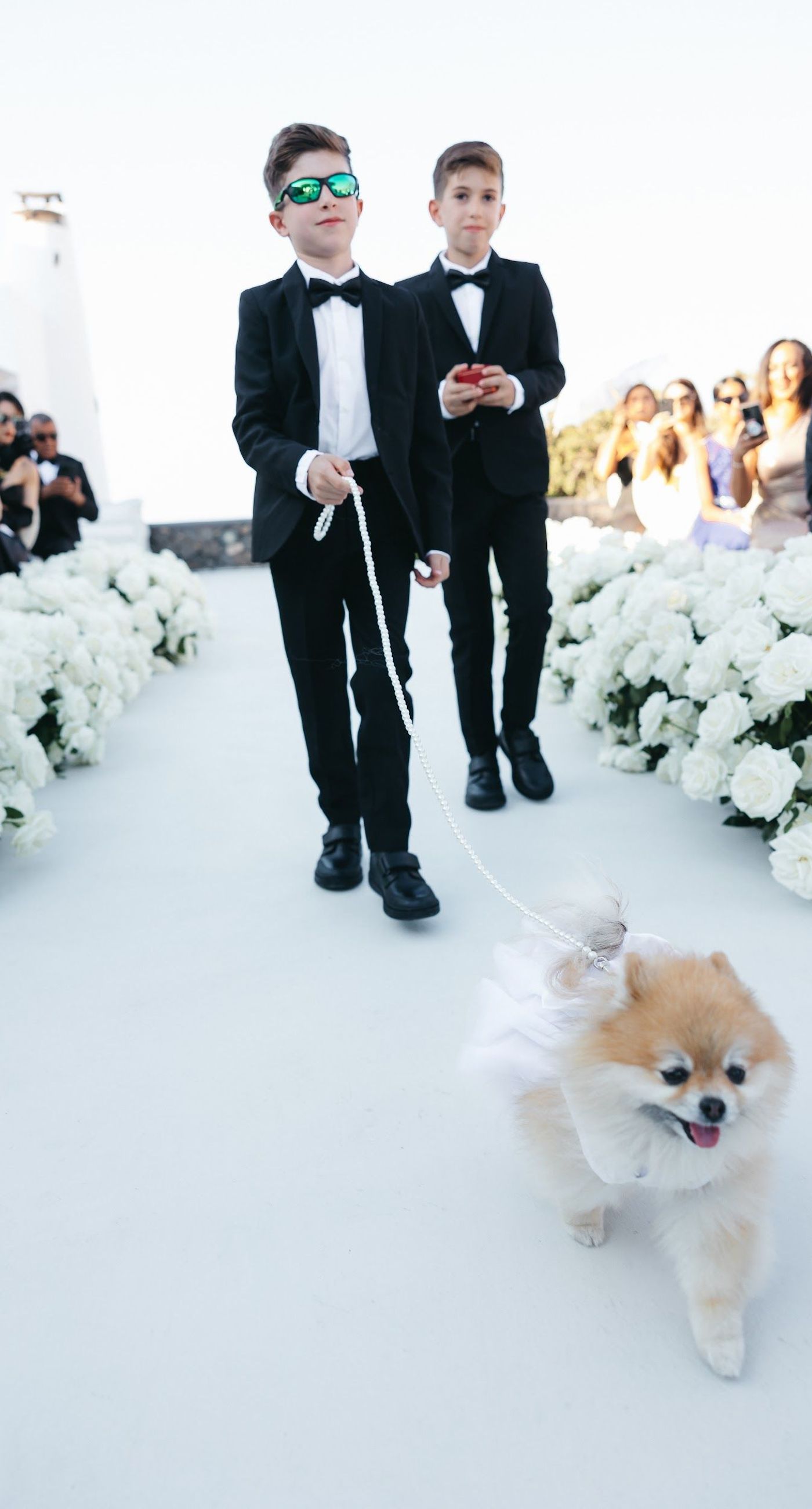 Armita & Azad - A vision of elegance unfolds under a canopy of ethereal blue foliage, accented with white blooms, creating a stunning backdrop for a couple standing in harmonious contrast. Their attire, a dance of monochrome elegance, complements the serene ambiance, while the azure sky and distant cliffs whisper of a hidden paradise. The floor is adorned with cascading white roses, framing the scene with pure grace. The location, with its tranquil vibes and breathtaking views, enhances the overall aesthetic, showcasing a perfect blend of nature and sophistication. This breathtaking display captures the essence of a dreamlike celebration, elevating the floral artistry to new heights. - Photo 3