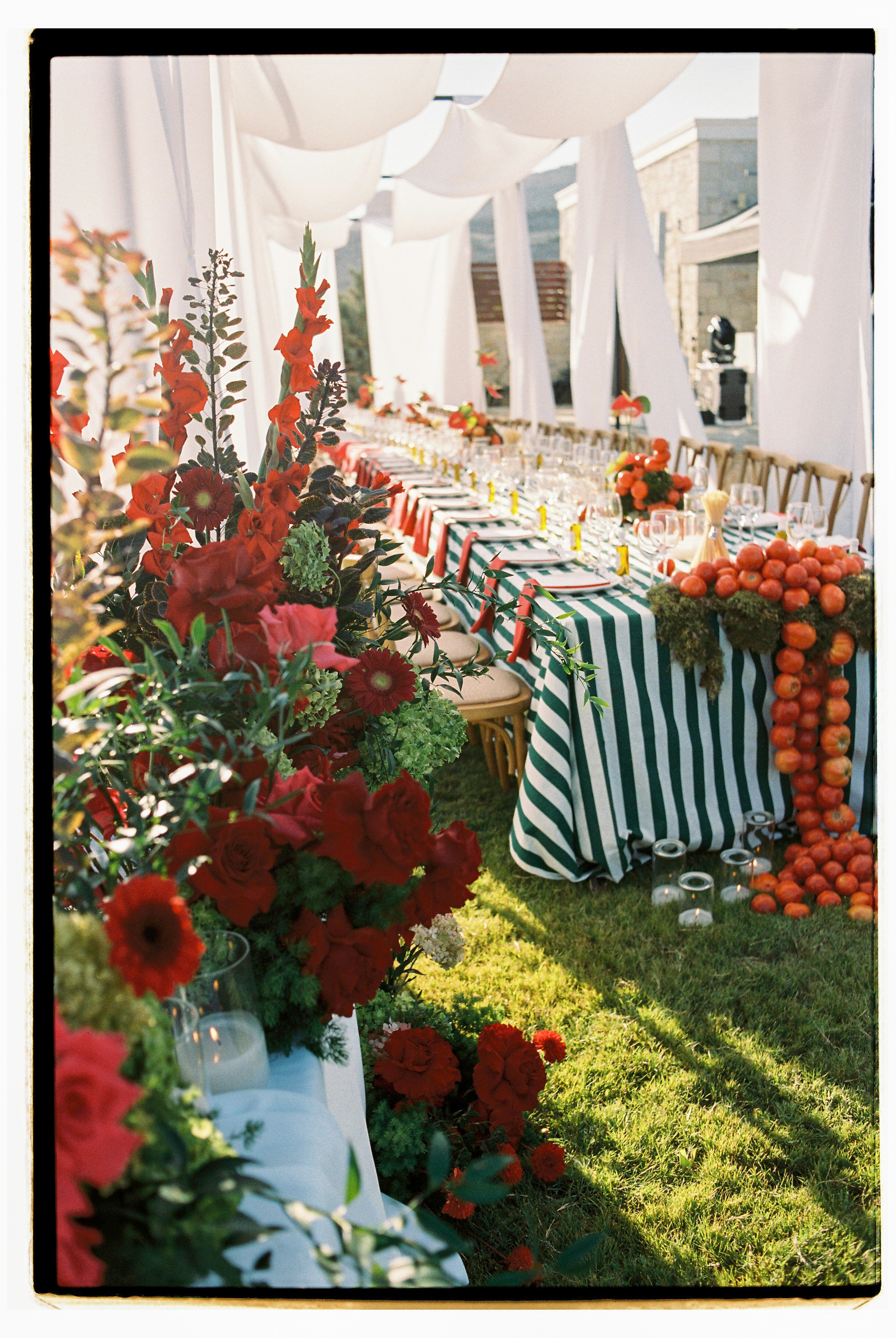A long wedding table under billowing white canopies at Wine Dark Villas in Greece, dressed with a green and white striped cloth. Tall spikes of red gladioli, deep red roses and dark red gerberas rise in a lush arrangement at the left, softened by green hydrangea and sprigs of foliage. Along the table, red napkins, clear glassware and bright tomatoes cascade down the table's edge in warm, sunlit light.