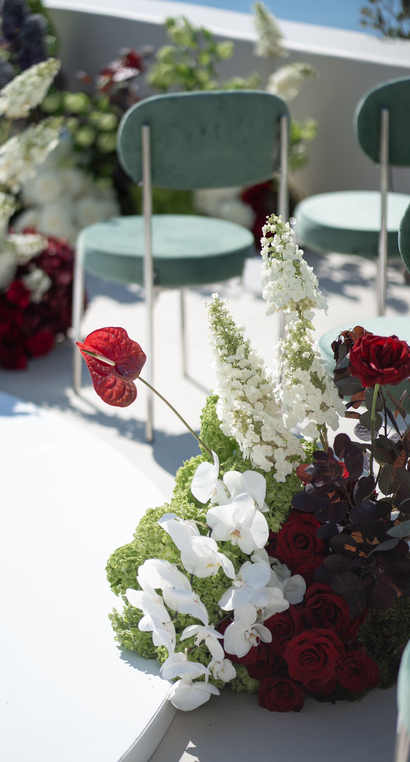 Ellen & Jeff - Photo 6