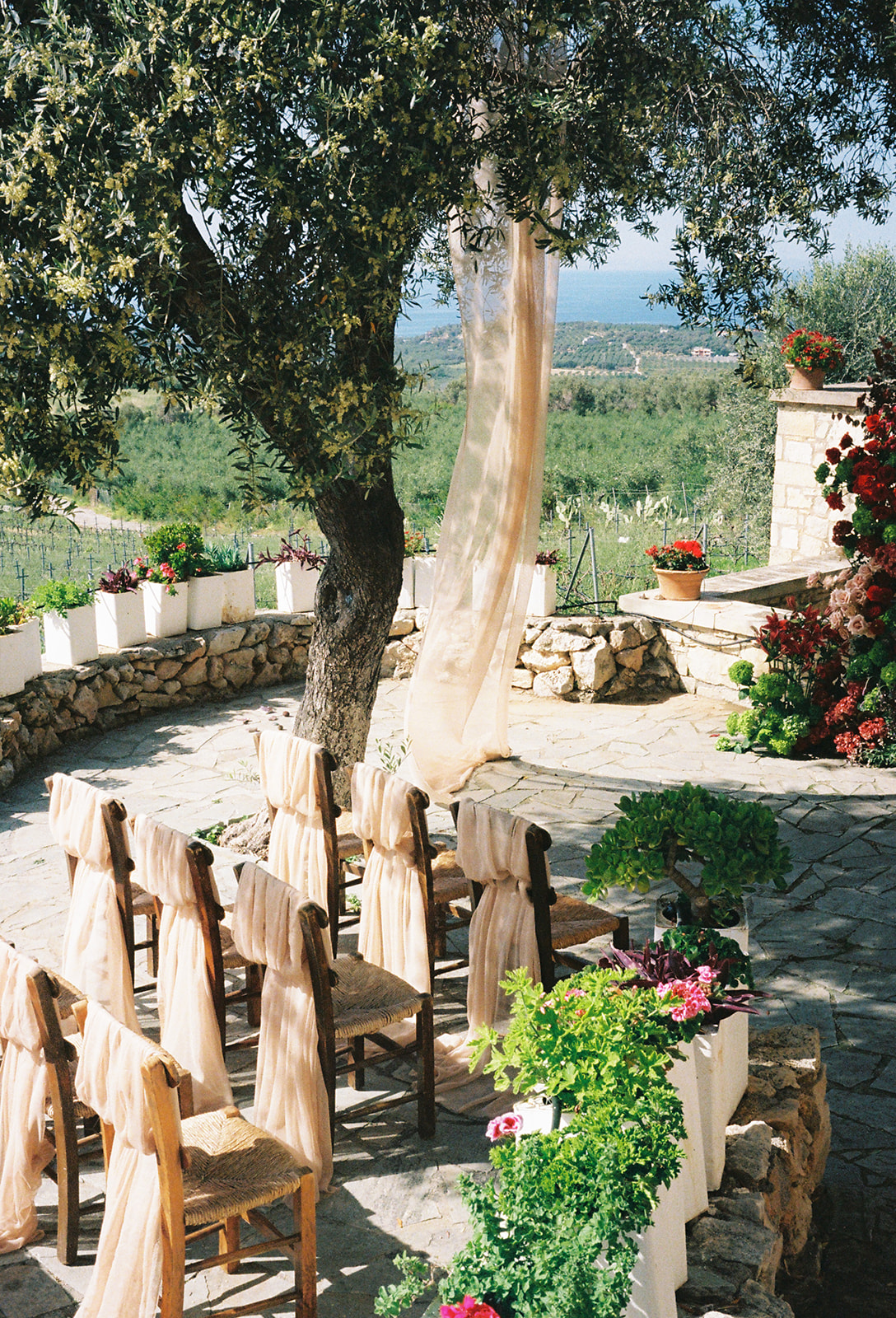 Where Nature Meets Forever - Surrounded by nature, among olive trees and open skies, this farm wedding was a celebration of simplicity and timeless love. Earthy tones, airy florals, and a warm sense of elegance created an authentic atmosphere, where every detail felt naturally placed , just like their love. - Photo 3
