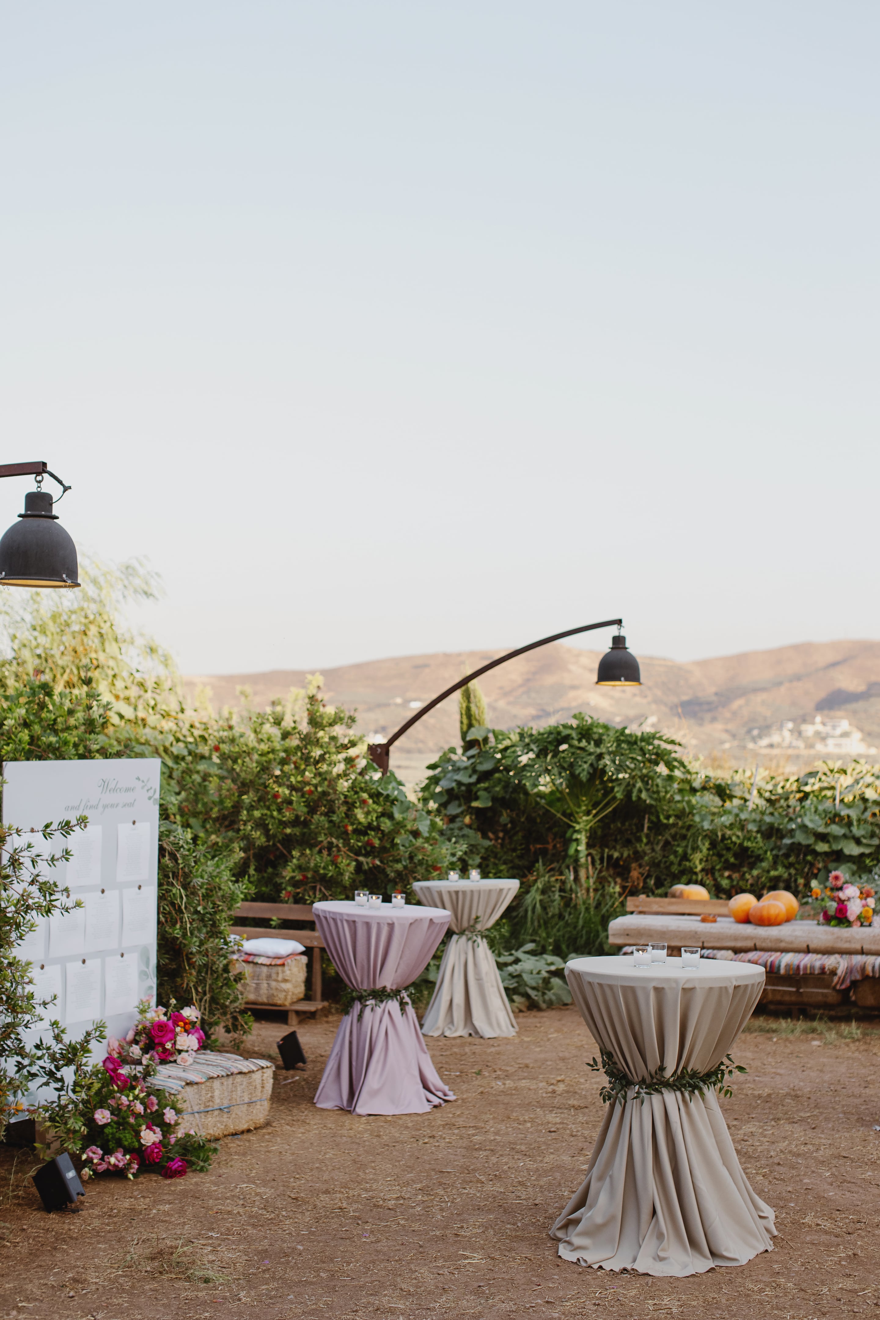 Three tall cocktail tables draped in dusty mauve and warm taupe linen, each cinched with a trailing sprig of greenery, stand on bare earth in an open garden at a wedding in Greece. Behind them, a wall of leafy shrubs and a papaya-like plant frame distant tan hills and a white village, while a row of small pumpkins sits on a wooden bench beside a bright arrangement of pink and fuchsia roses. On the left, a sign reading "Welcome and find your seat" stands among pink roses and blush blooms, with a black pendant lamp hanging overhead. The mood is relaxed, rustic and golden in the evening light.