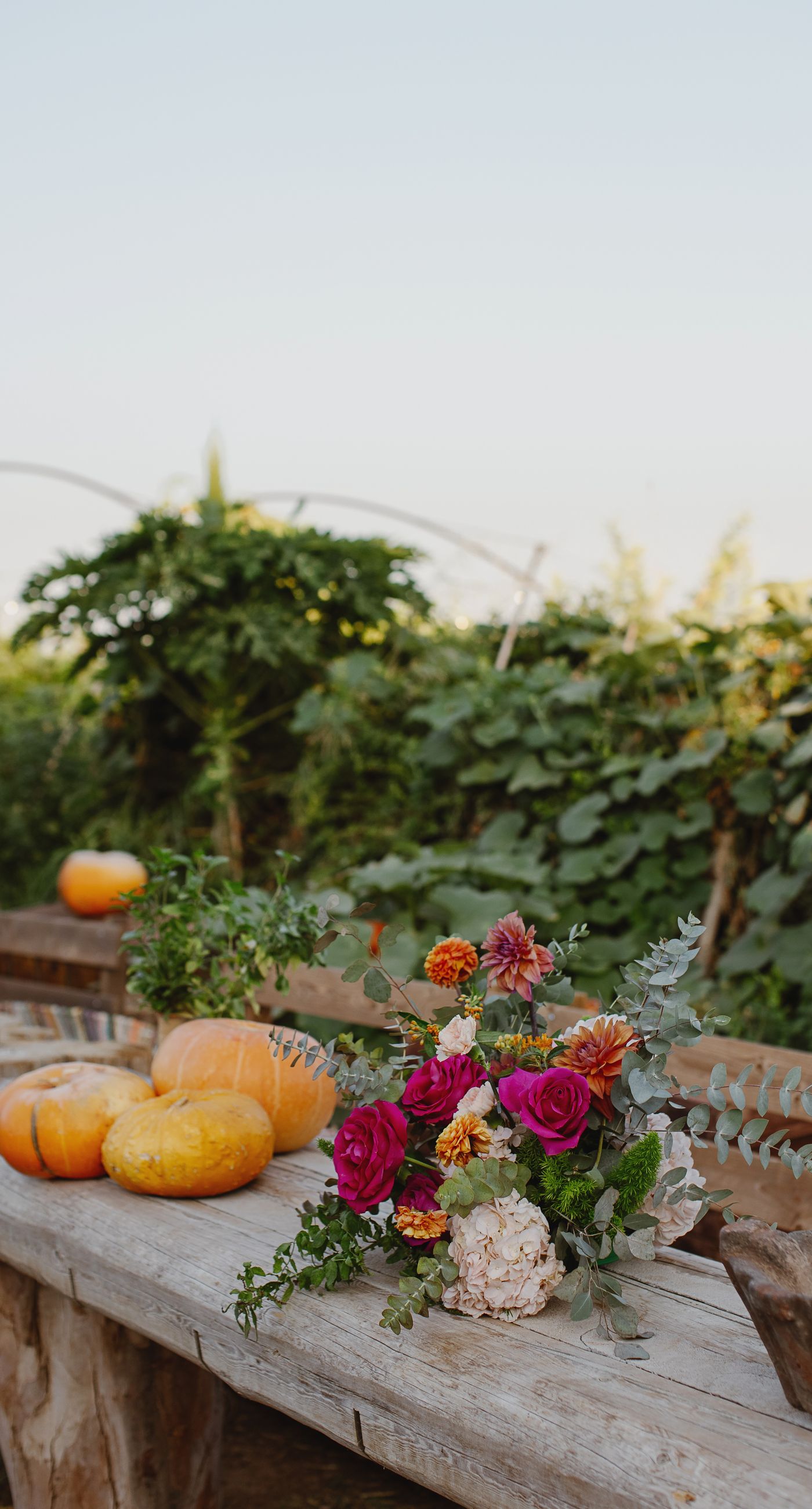 Where Celebration Meets Nature - A modern garden wedding with clean lines and a strong sense of a curated dining experience.
Long communal tables set within the vineyard, statement floral arrangements at varying heights, layers of greenery with bold color accents, and warm lighting that carried the atmosphere from day into night. A setting that felt natural yet intentionally designed  contemporary, vibrant, and effortlessly elegant. - Photo 12