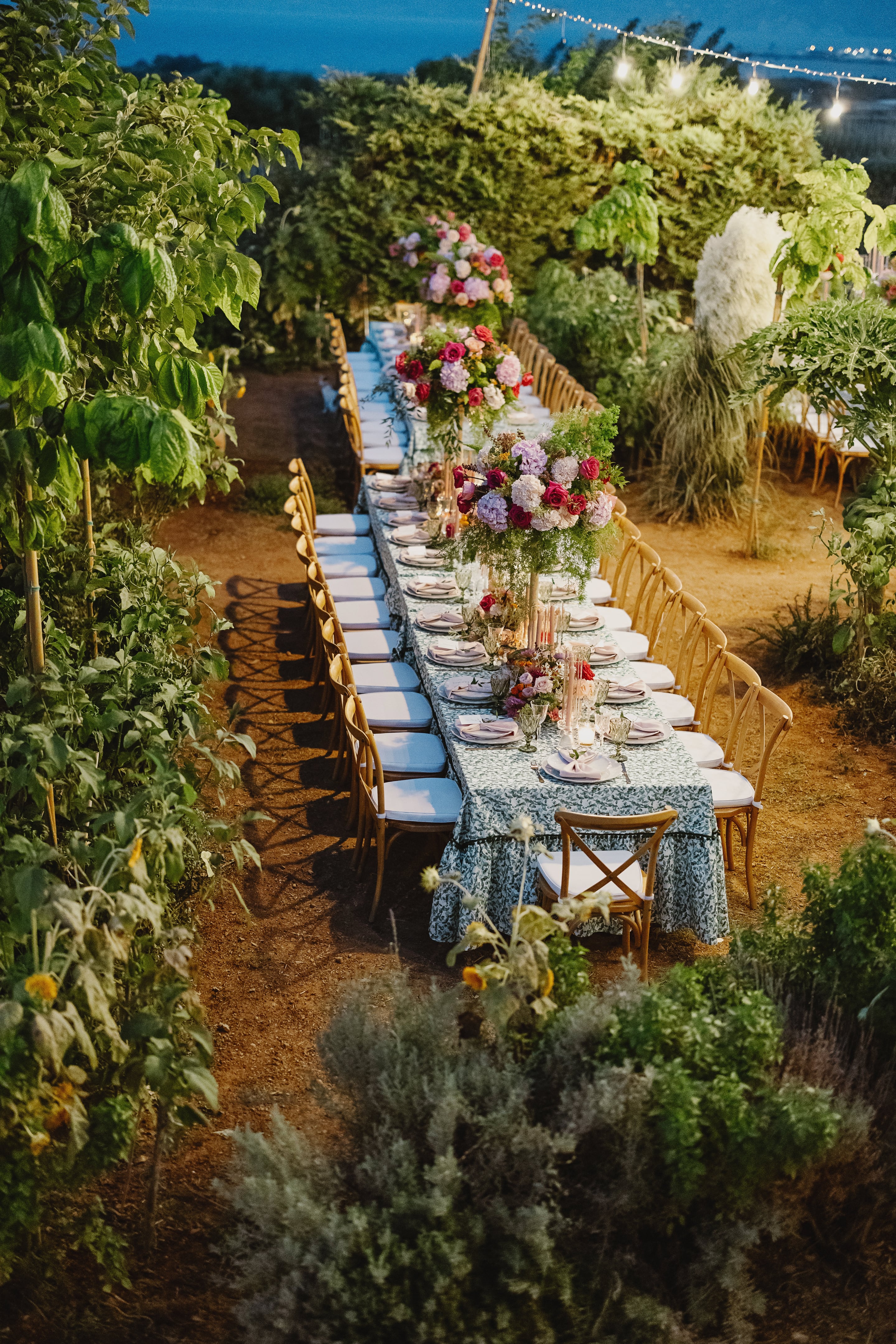 A long outdoor wedding table runs through a leafy garden in Greece, dressed with a blue patterned cloth and tall centrepieces of pink and red roses, lilac and white hydrangeas, and soft greenery. Pale wooden cross-back chairs with white cushions line both sides, and tomato plants and tall basil-like foliage frame the warm, earthy path in gentle evening light.