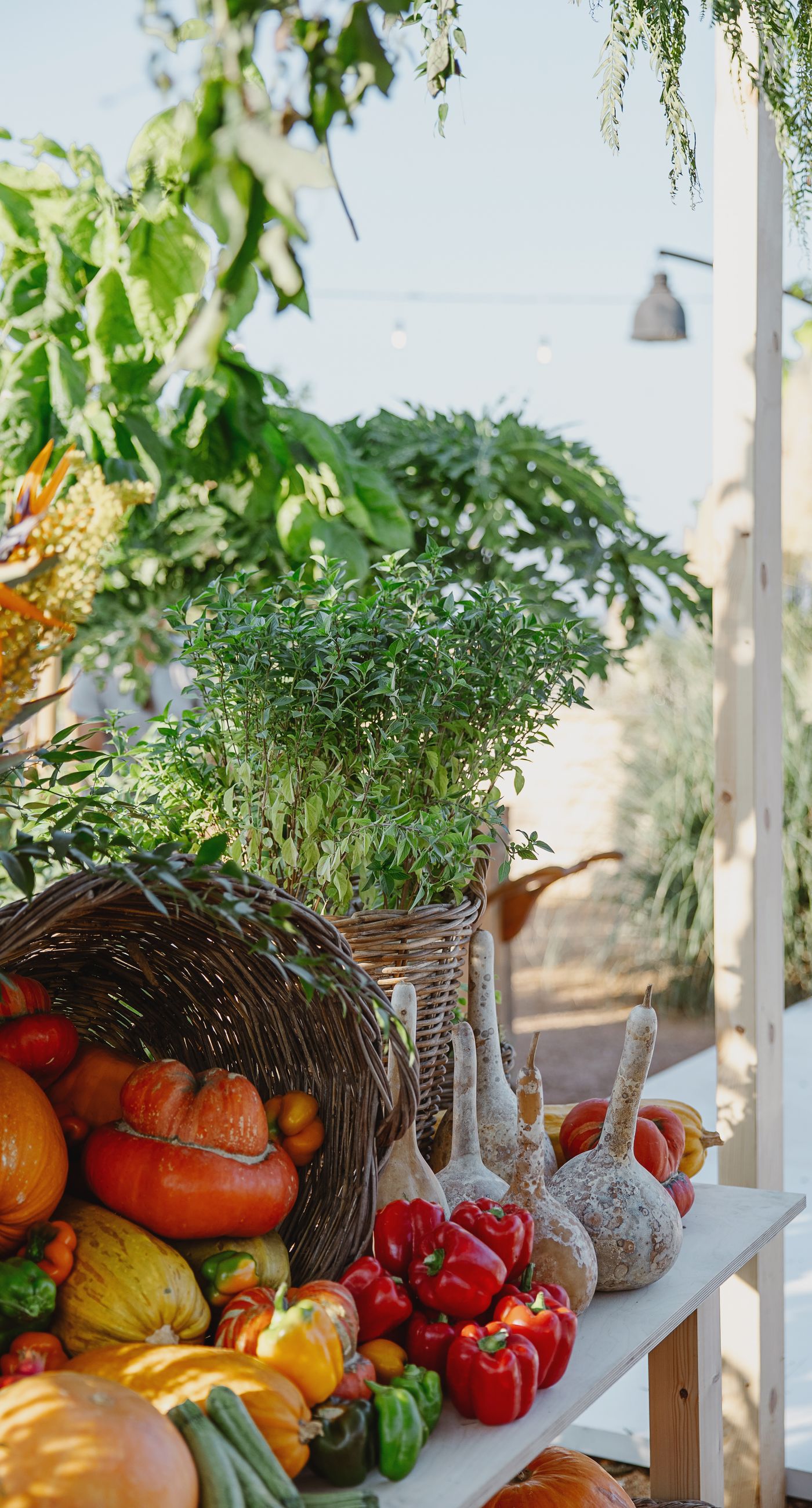 Where Celebration Meets Nature - A modern garden wedding with clean lines and a strong sense of a curated dining experience.
Long communal tables set within the vineyard, statement floral arrangements at varying heights, layers of greenery with bold color accents, and warm lighting that carried the atmosphere from day into night. A setting that felt natural yet intentionally designed  contemporary, vibrant, and effortlessly elegant. - Photo 8