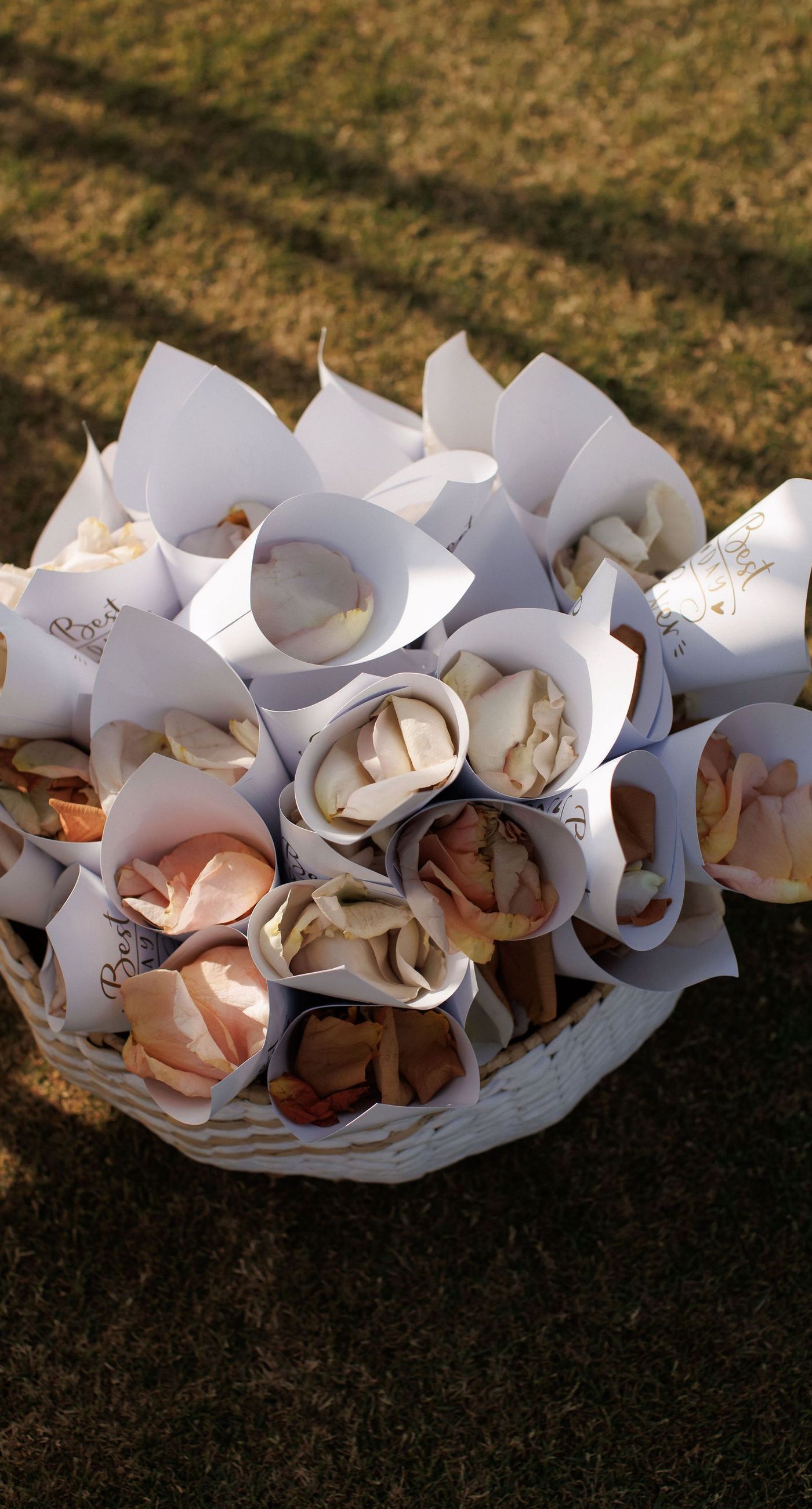 Sandra & Maximilian - In a serene garden setting, a couple stands embraced, surrounded by a breathtaking floral display. The bride's off-the-shoulder lace gown complements the groom's classic black tuxedo, both exuding elegance amid the lush, natural backdrop. Pastel blooms of blush and cream, expertly arranged, create an arch that seamlessly blends with the verdant landscape. Soft pinks and whites, interspersed with touches of greenery, add a delicate yet sophisticated touch. Rolling hills and distant mountains frame the scene, enhancing the timeless beauty and tranquility of this picturesque moment. - Photo 2