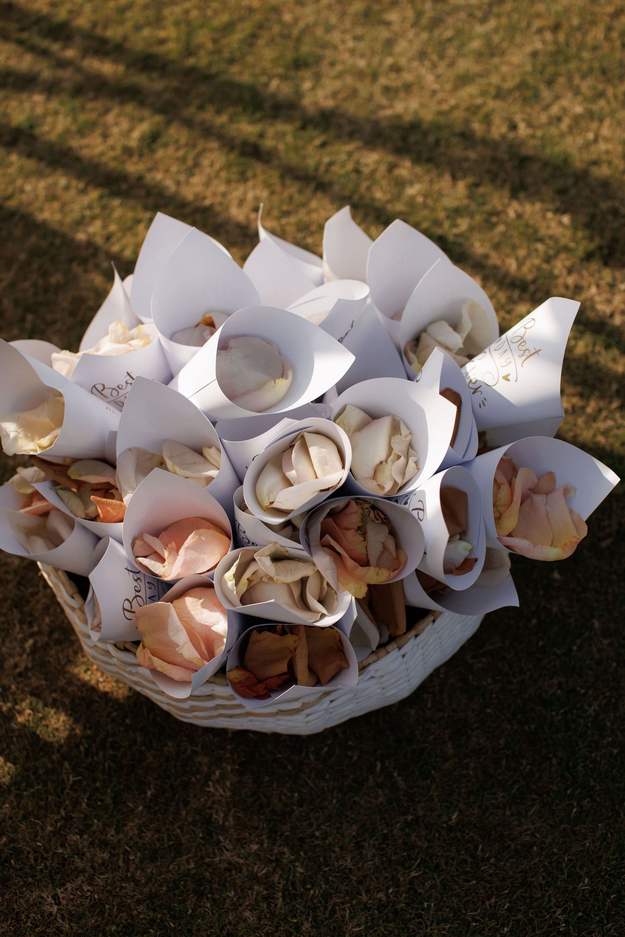 A white wicker basket overflows with dozens of white paper cones, each filled with pale peach, apricot and cream rose petals, some fresh and some dried to a rich caramel brown. Gold script on the cones reads "Best Day Ever," and the basket sits on sunlit grass at the Roxani estate, a wedding in Greece, ready for guests to toss over the couple.