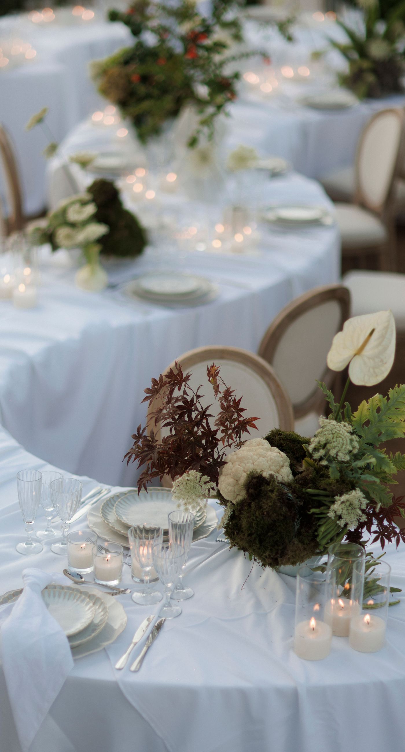 Sara &Smith - Photo 8