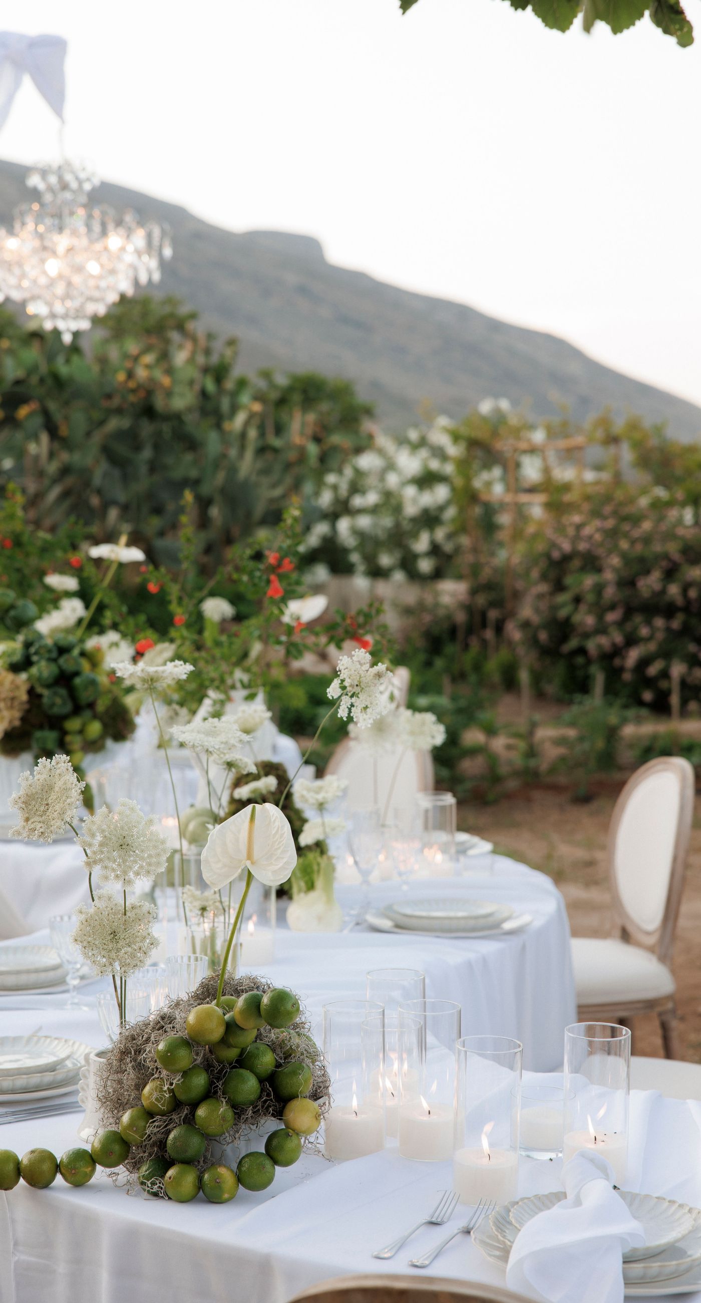 Sara &Smith - Photo 7