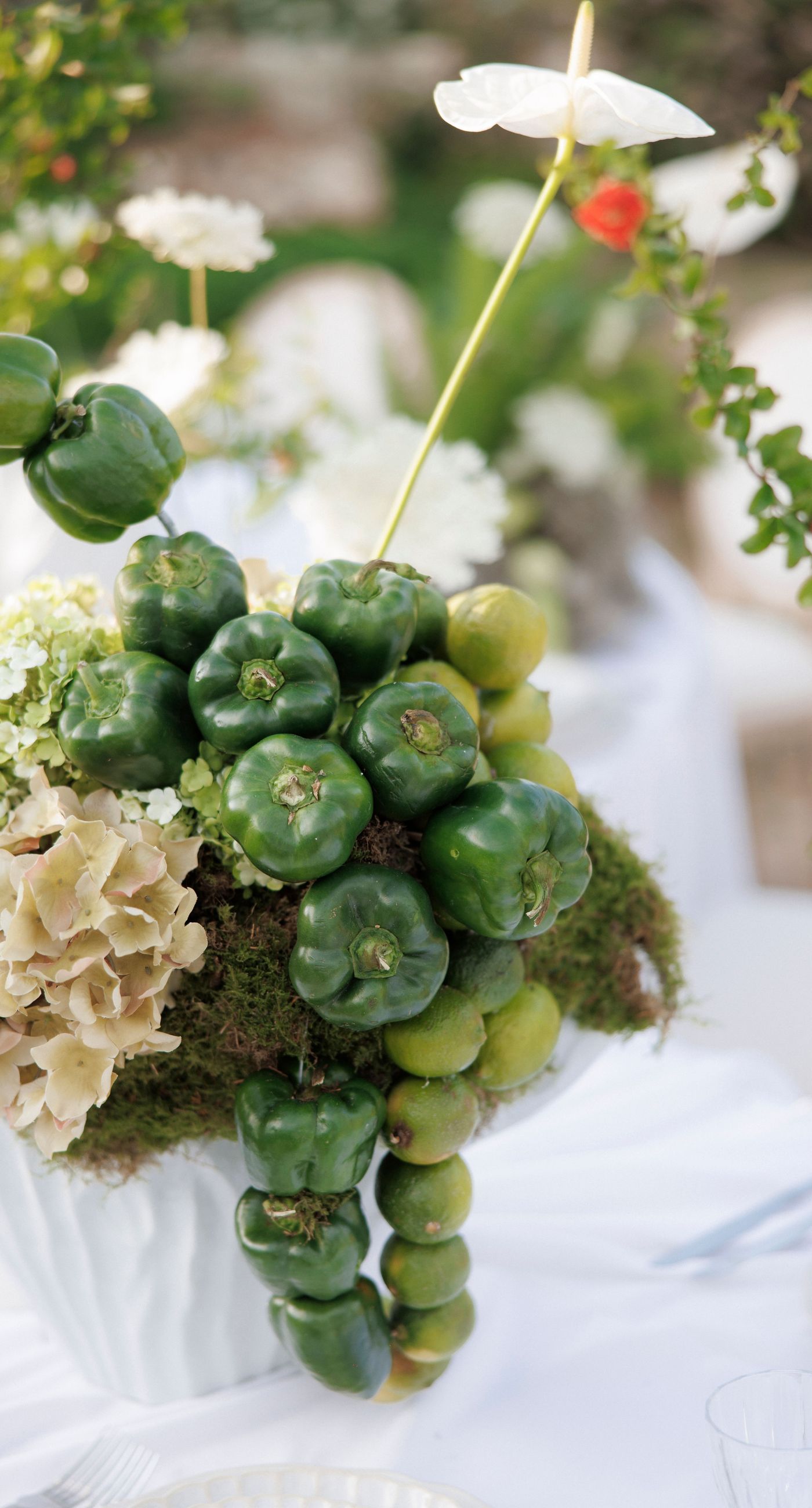 Sara &Smith - Photo 4