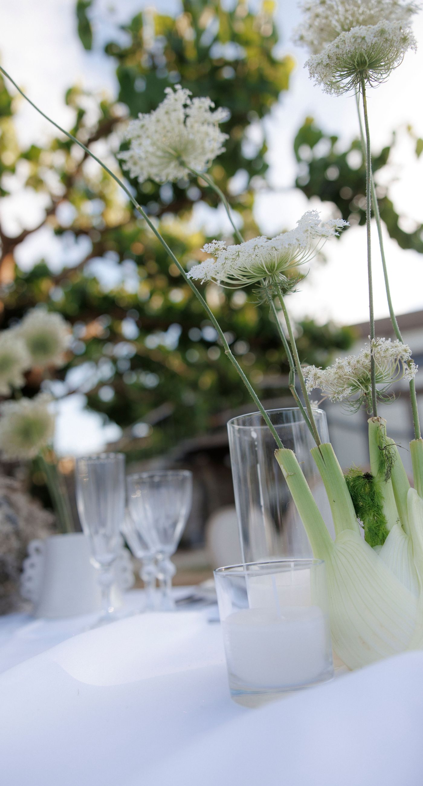 Sara &Smith - Photo 5