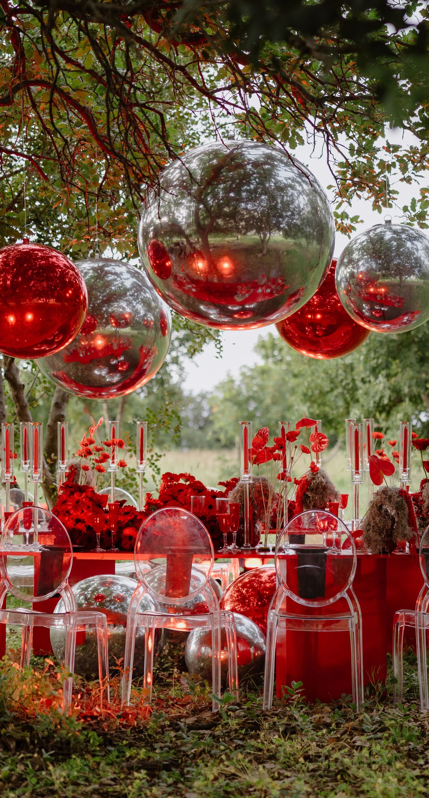 Silia &Louis - Photo 13