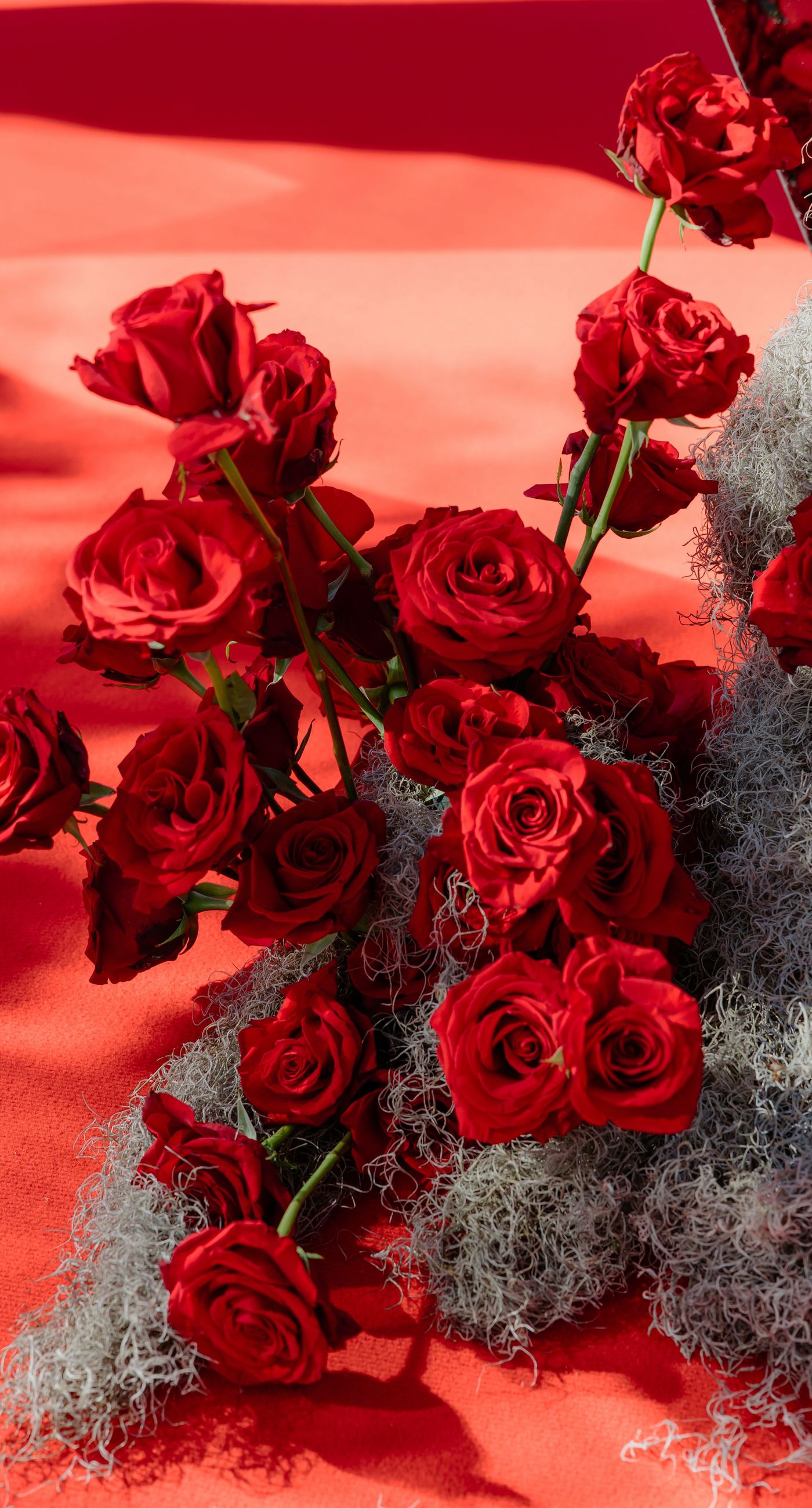 Silia &Louis - Photo 4